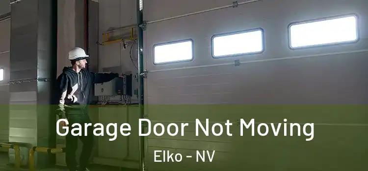  Garage Door Not Moving Elko - NV