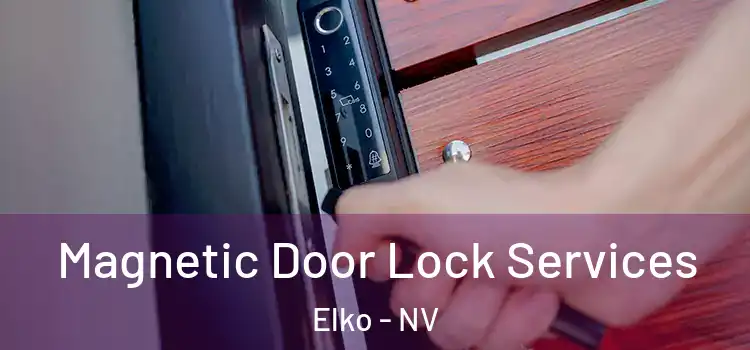 Magnetic Door Lock Services Elko - NV